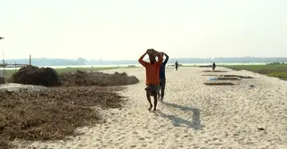 ঋণের ফাঁদে মেঘনা–গোমতী চরাঞ্চলবাসীর জীবন